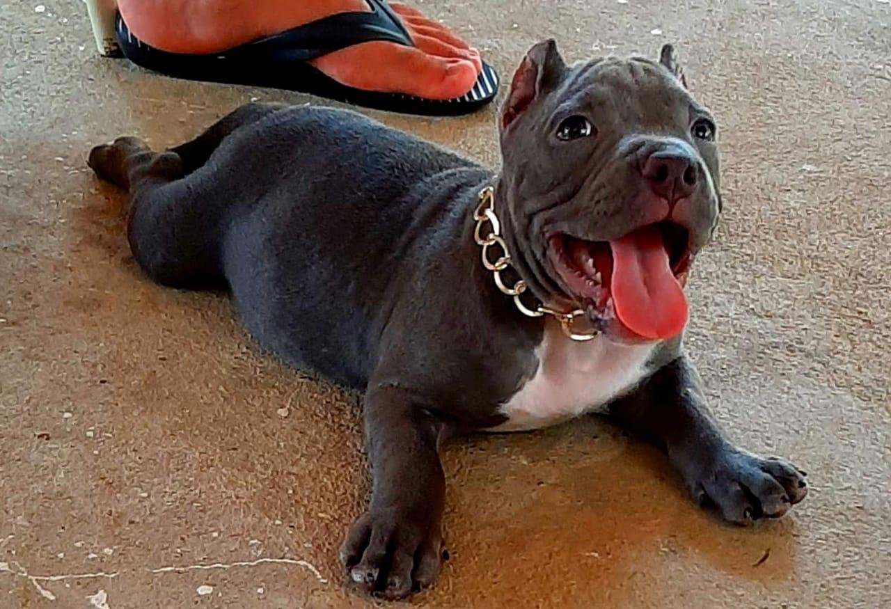 Foto