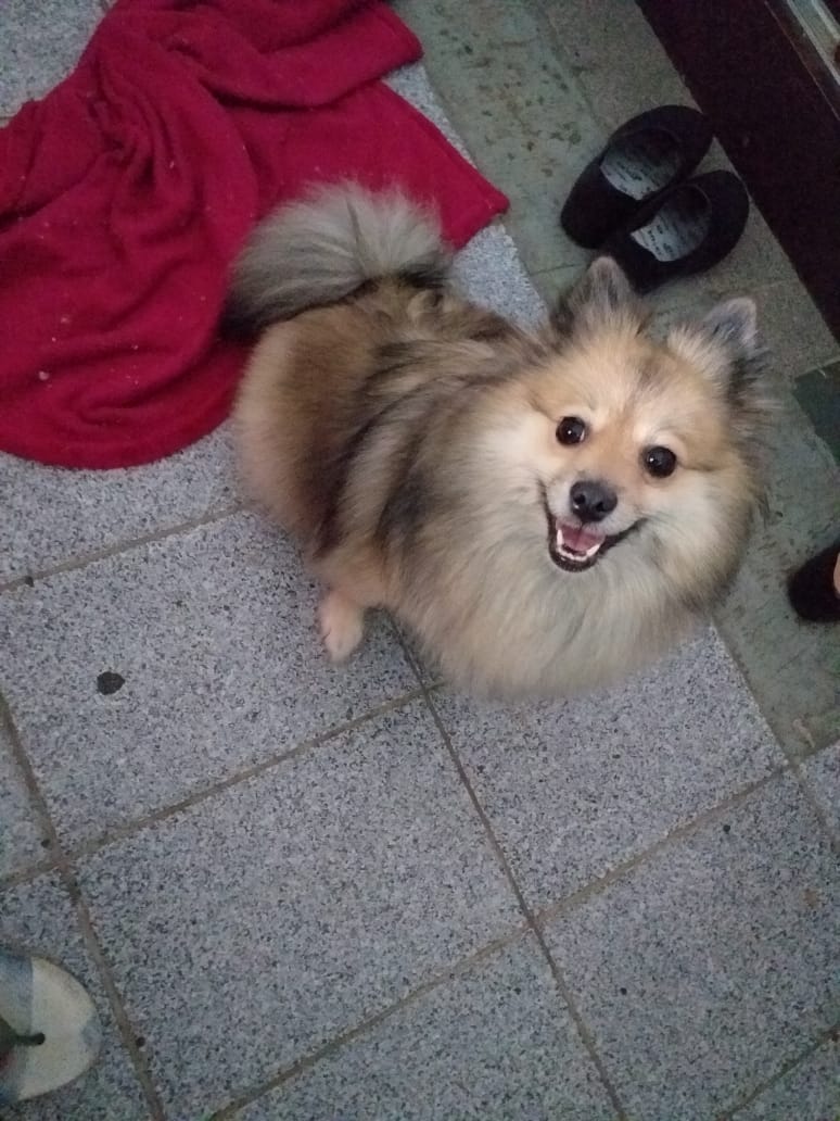 Foto