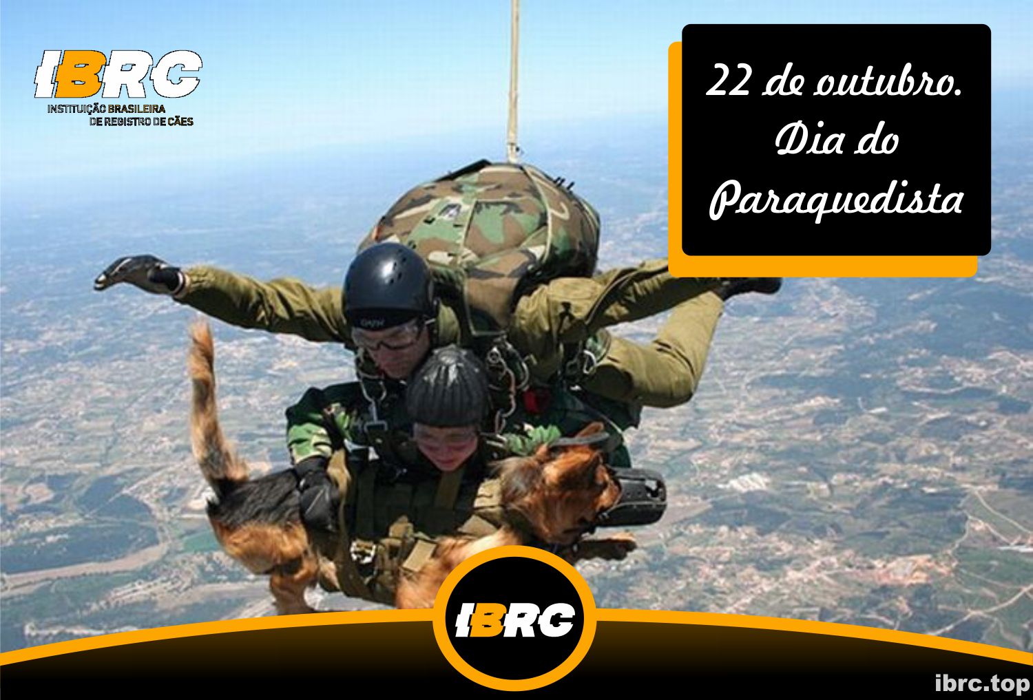 Cães Paraquedistas do Exército Brasileiro