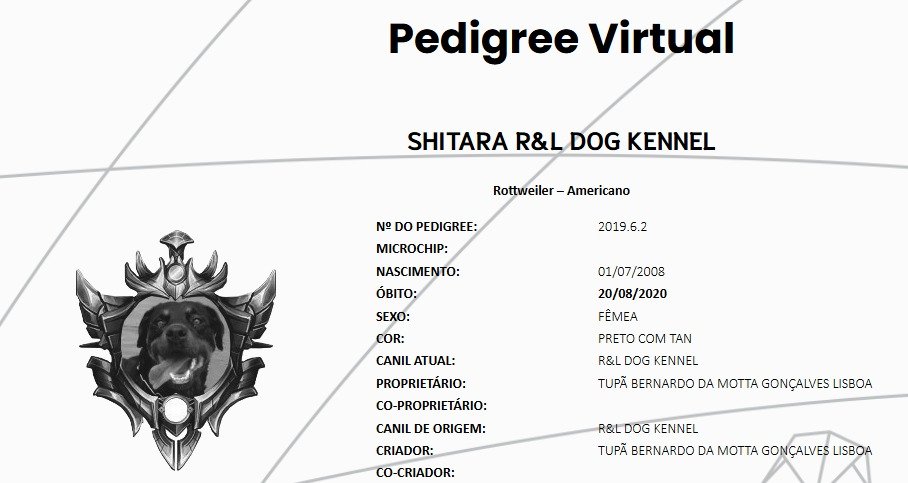 Como consultar um Canil ou Pedigree Virtual de um cão