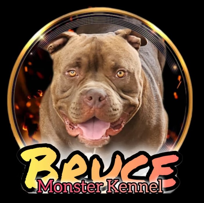 Logo do Canil