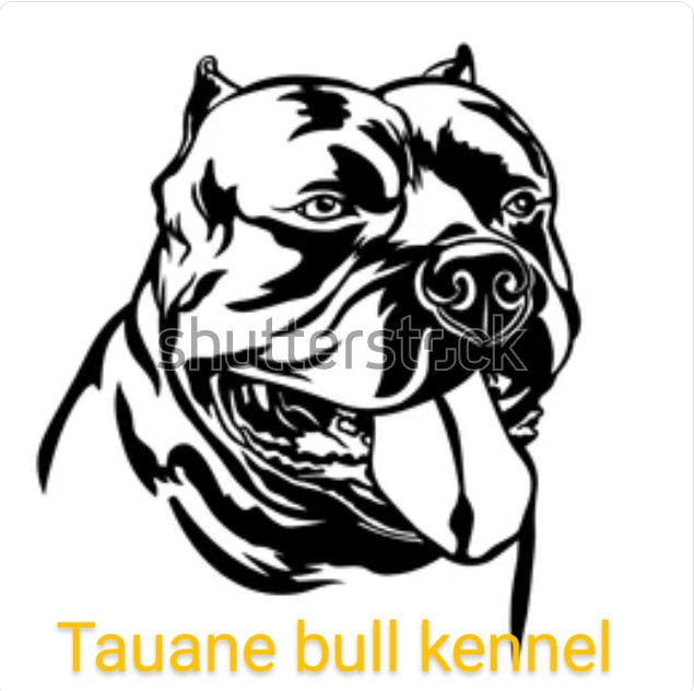 Logo do Canil