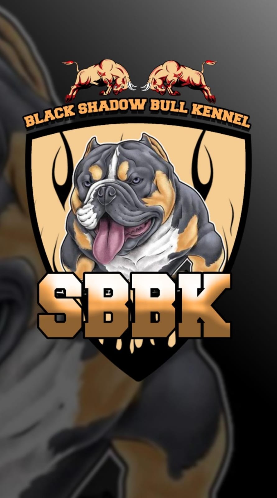 Logo do Canil