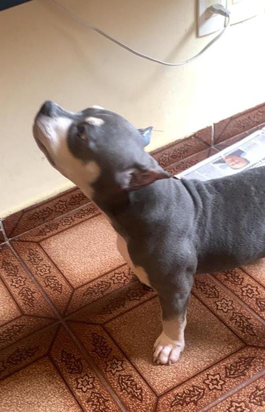Foto