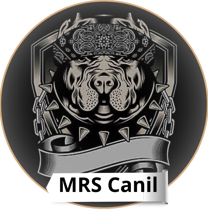 Logo do Canil