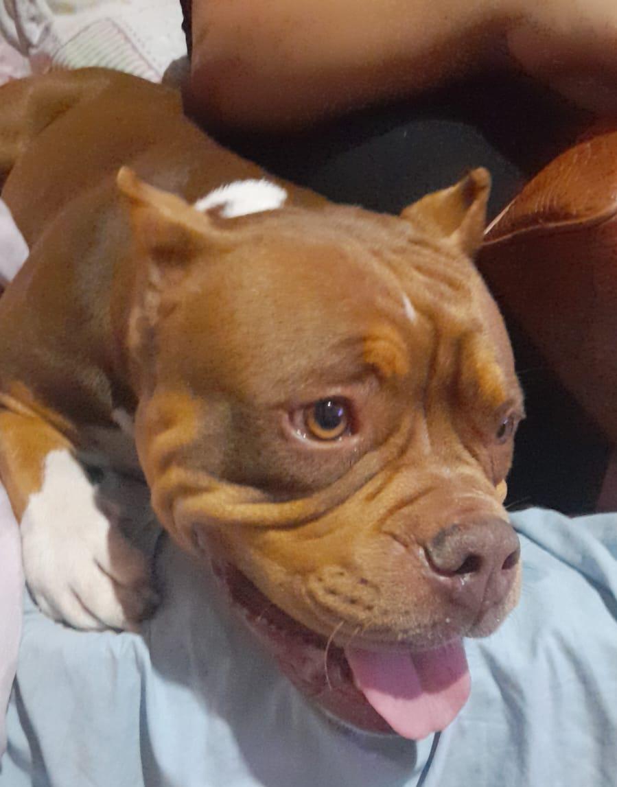 Foto