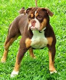 Foto da Avó materna