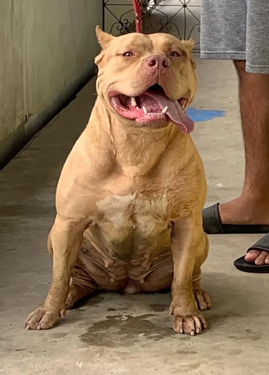 Foto da Avó materna