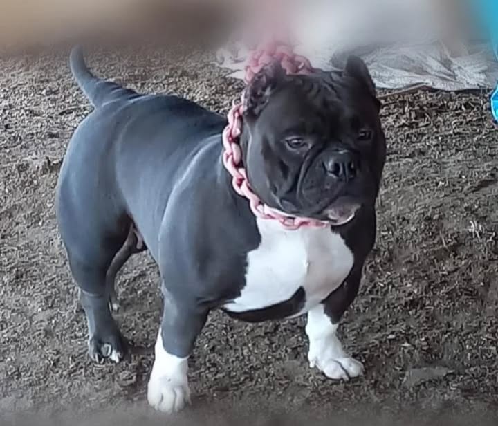 Foto da Avó materna