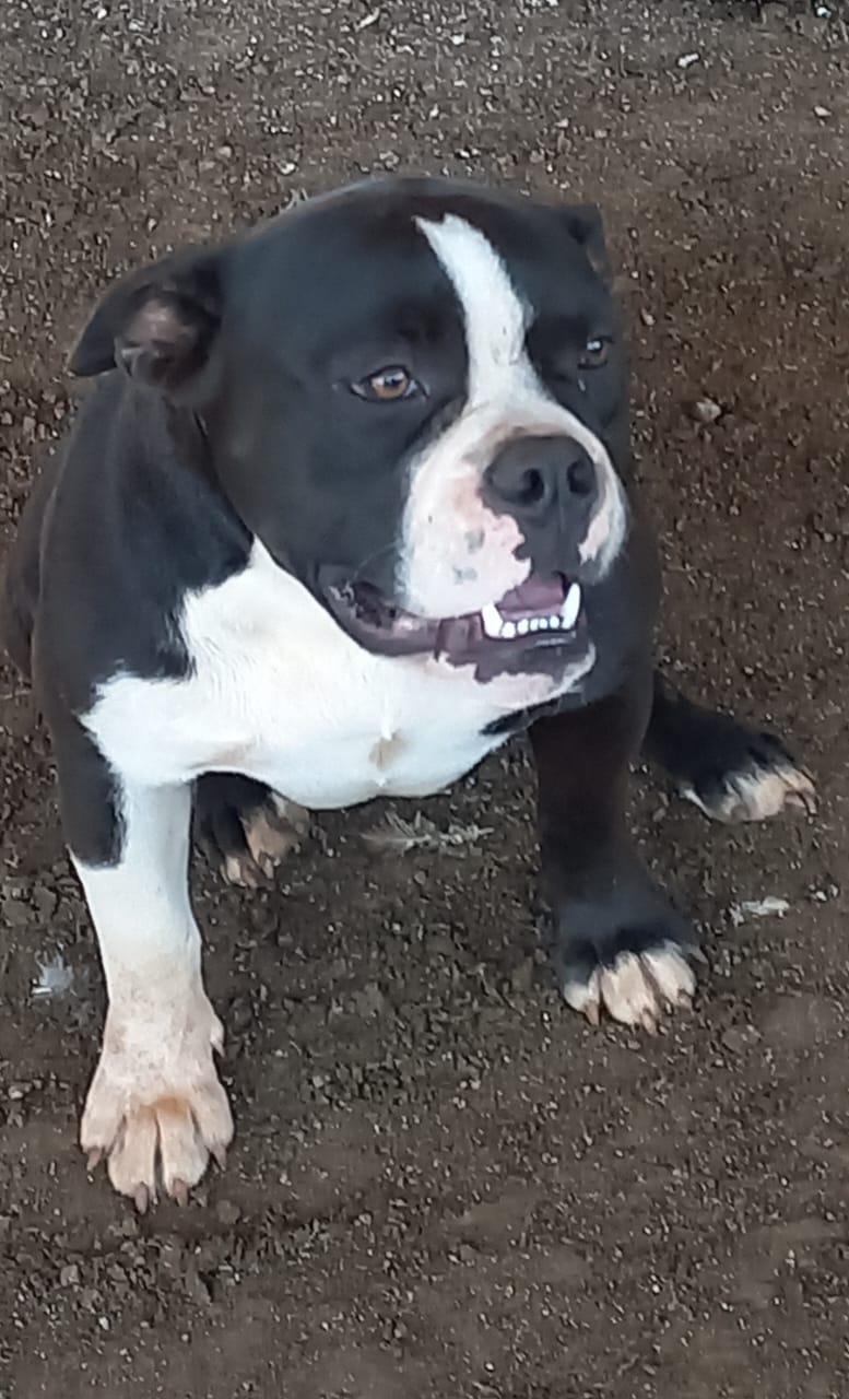 Foto