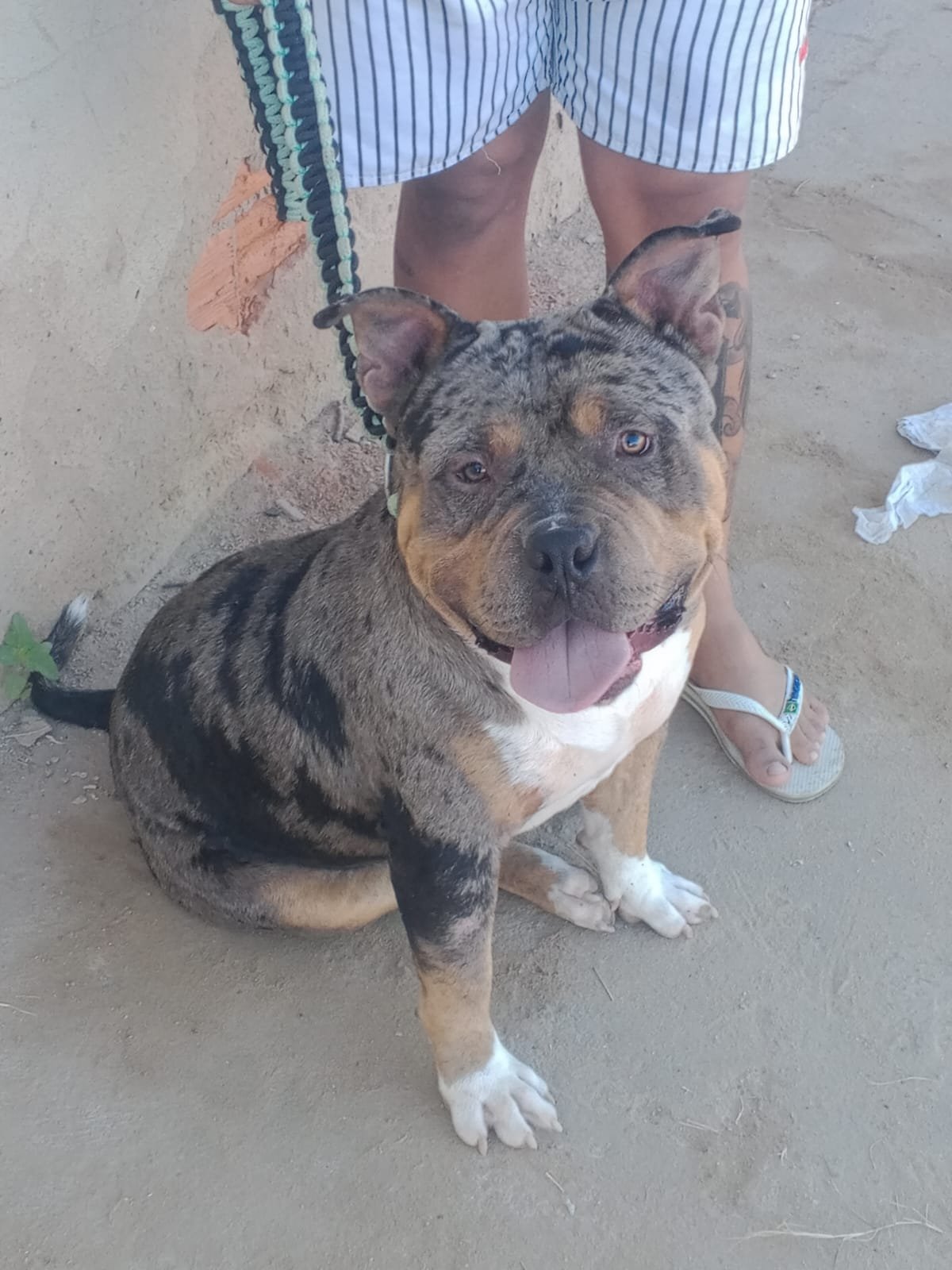 Foto