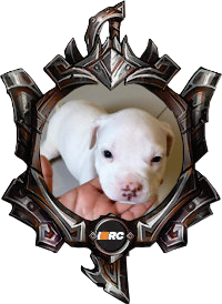 EVA IRONSIDE BULL KENNEL - FERRO