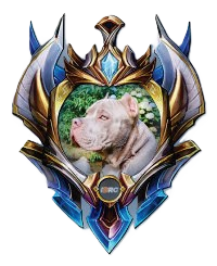 LOGAN X-FORCE BULL KENNEL - DIAMANTE