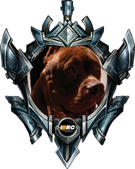 AQUILES MITOLOGIC MONSTER BULLS - PRATA