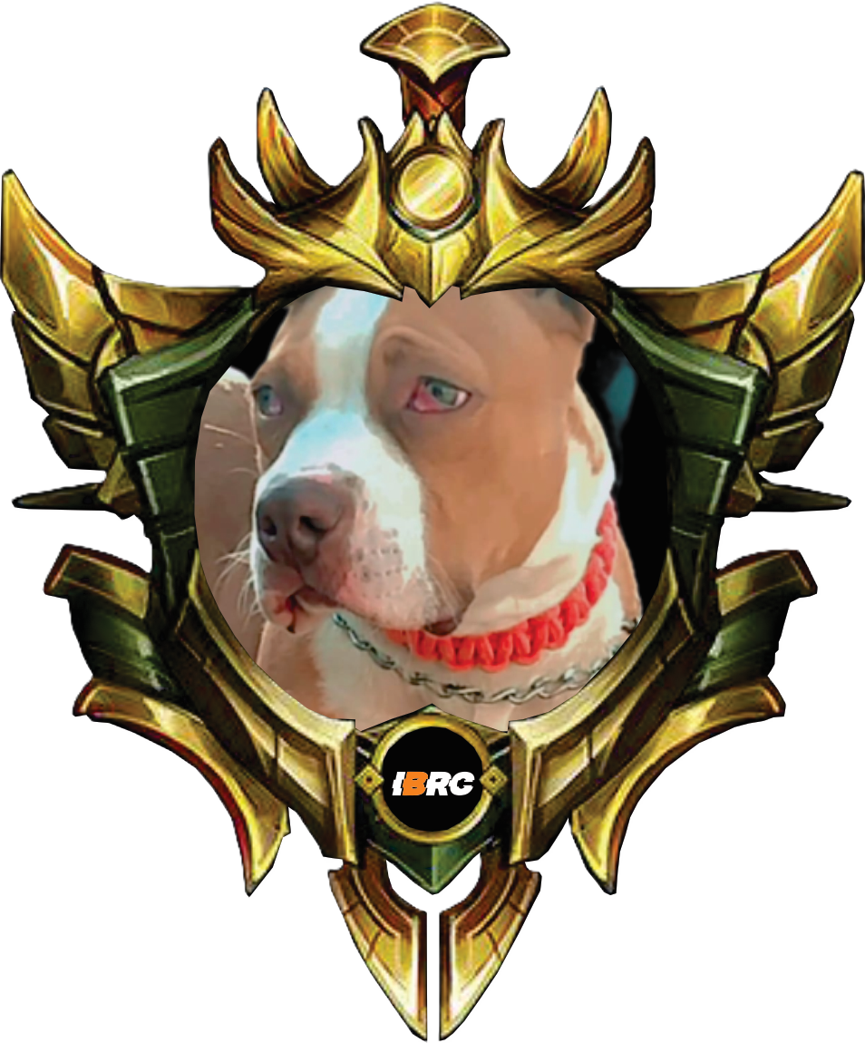 LUNNA RIBEIRO MONSTER KENNEL - OURO