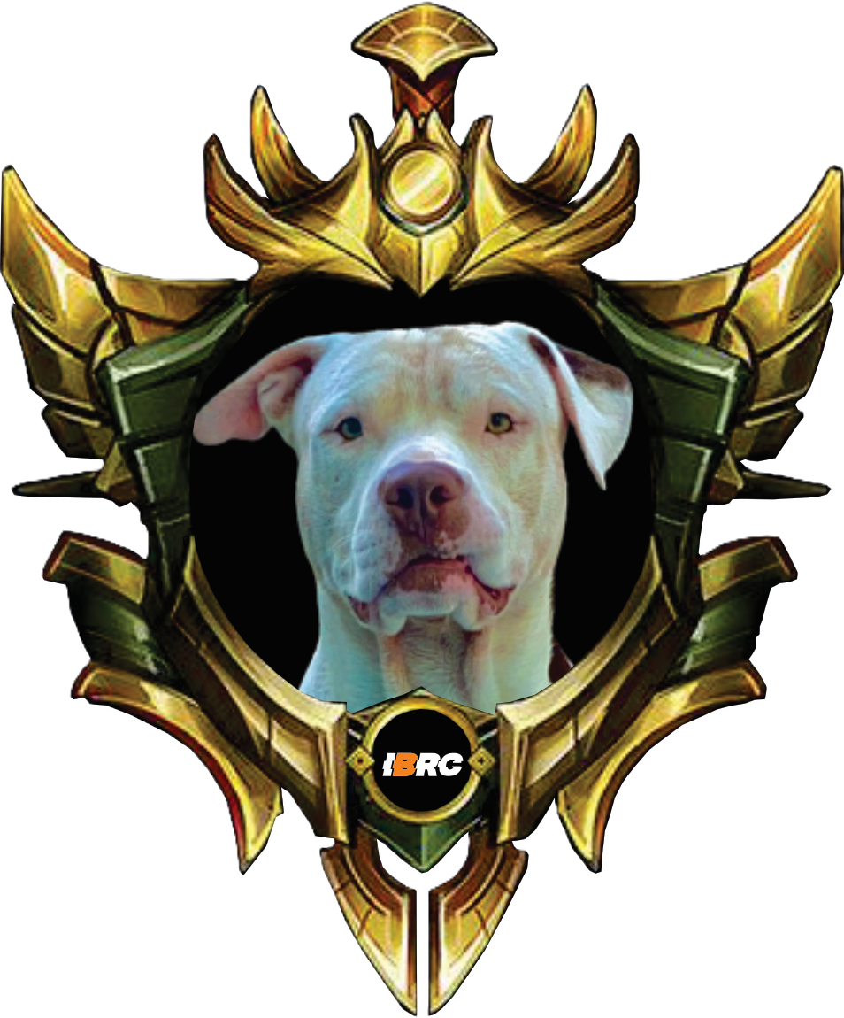 BERG STAR BRADOCK - OURO