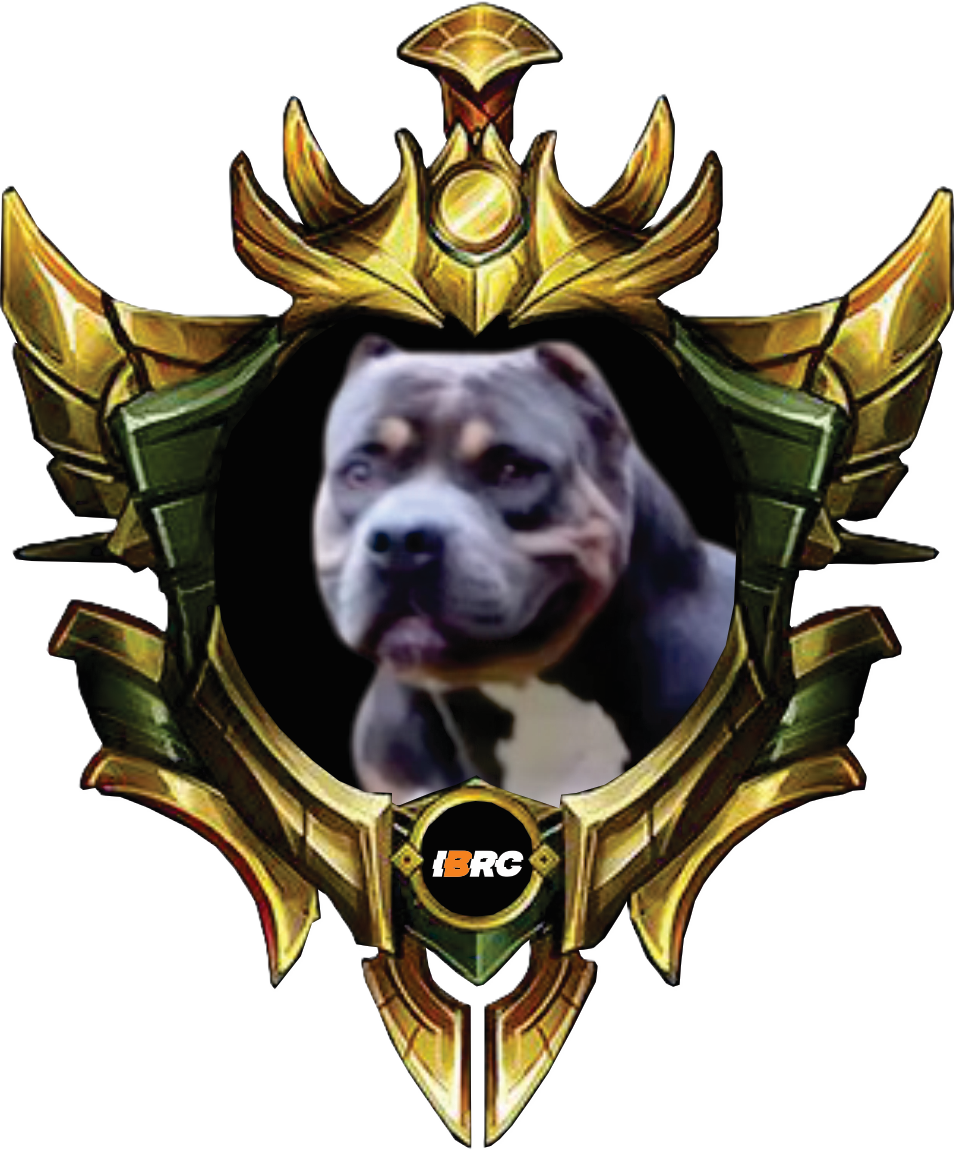 BERLIM B.F - OURO