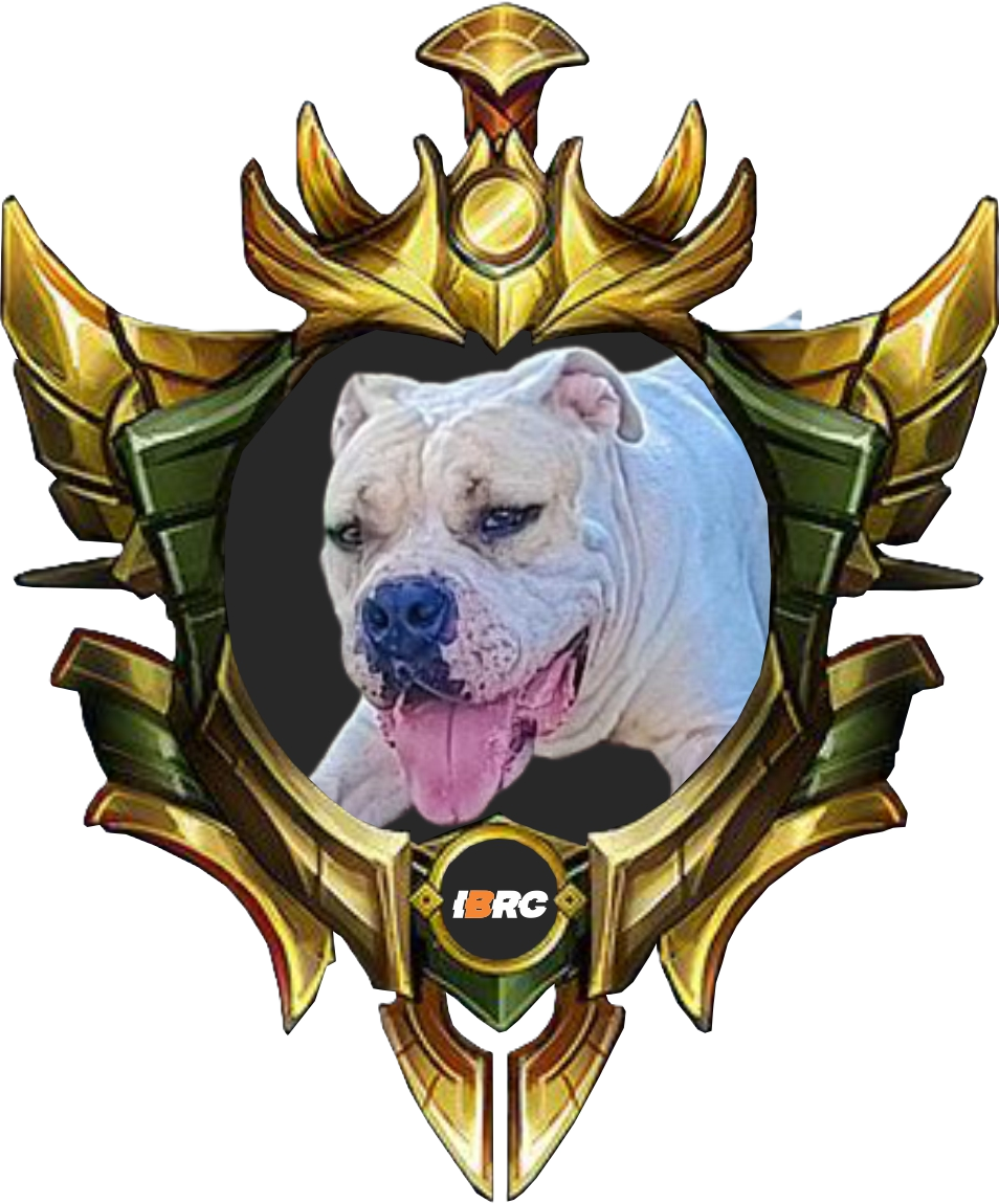 OZZY CLUBINHO BULL - OURO
