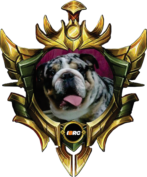 CHOQUITO CMADOGS - OURO