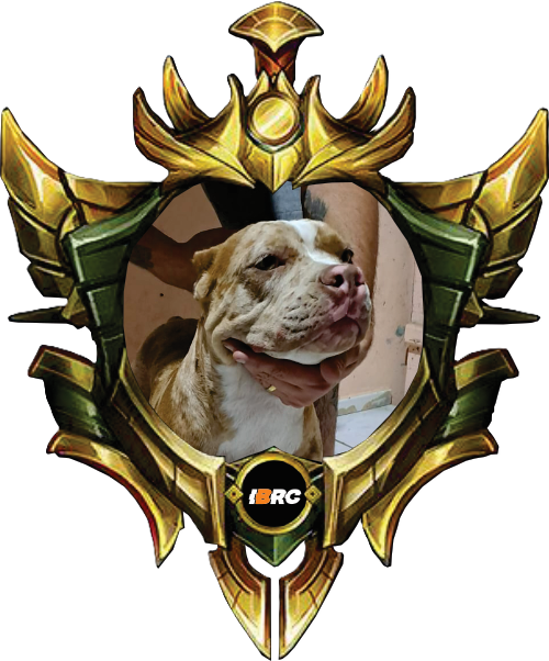 VICTORIA LOKA R&D BULL KENELL - OURO