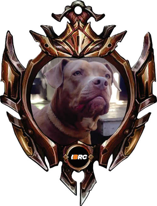 SUSI MID MONSTERS - BRONZE
