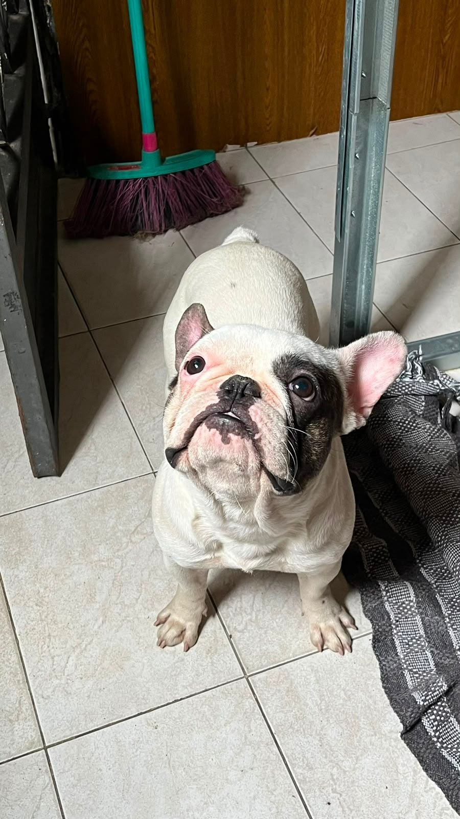 Foto