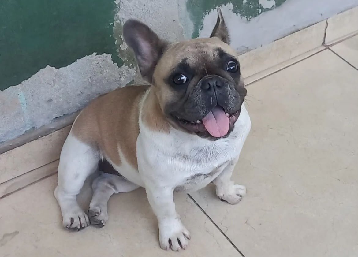 Foto